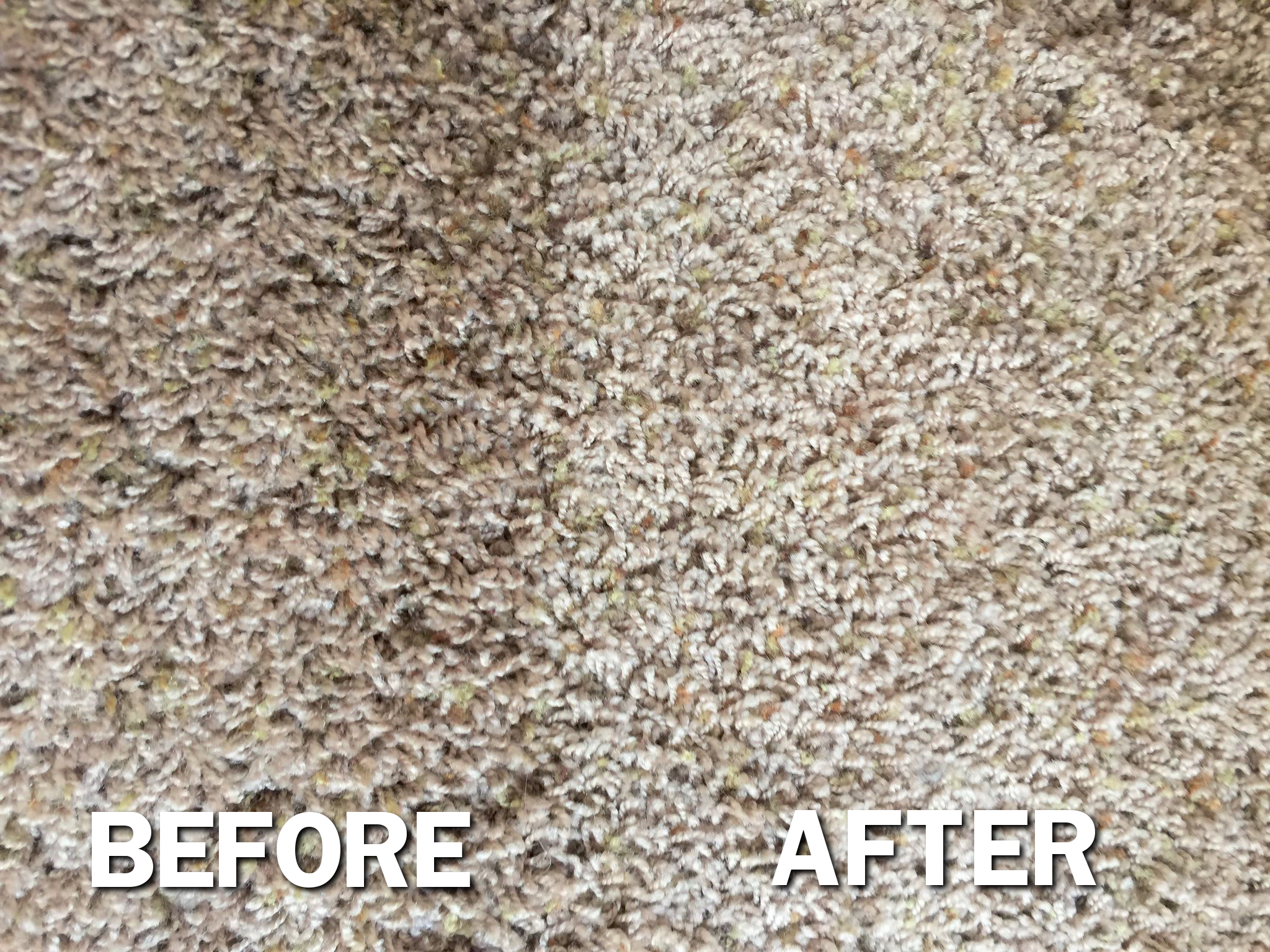 carpetbeforeafter